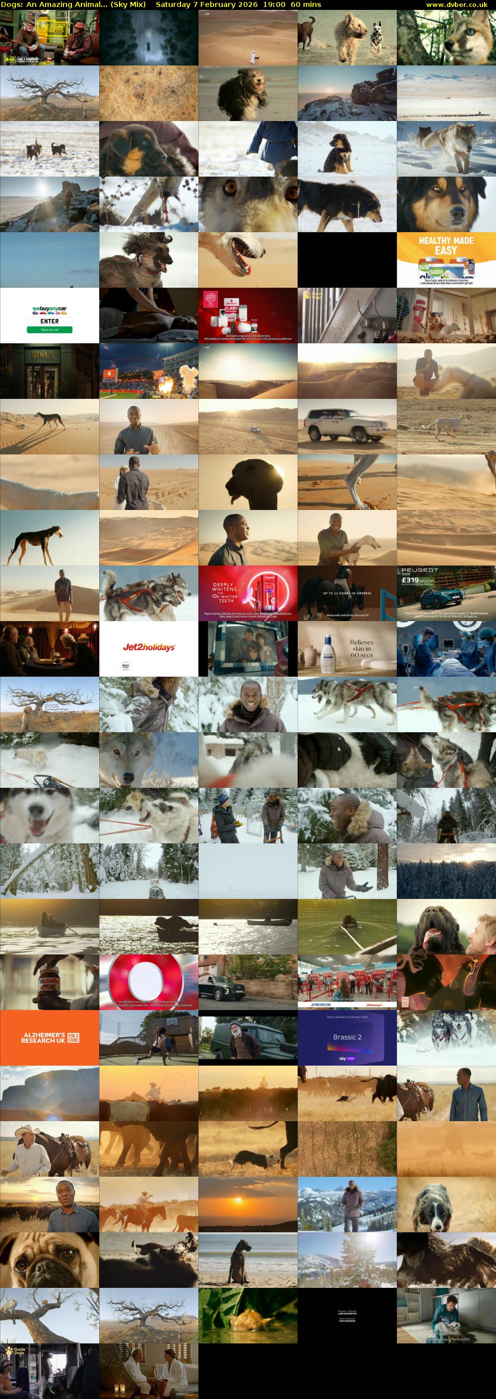 Dogs: An Amazing Animal... (Sky Mix) Saturday 7 February 2026 19:00 - 20:00