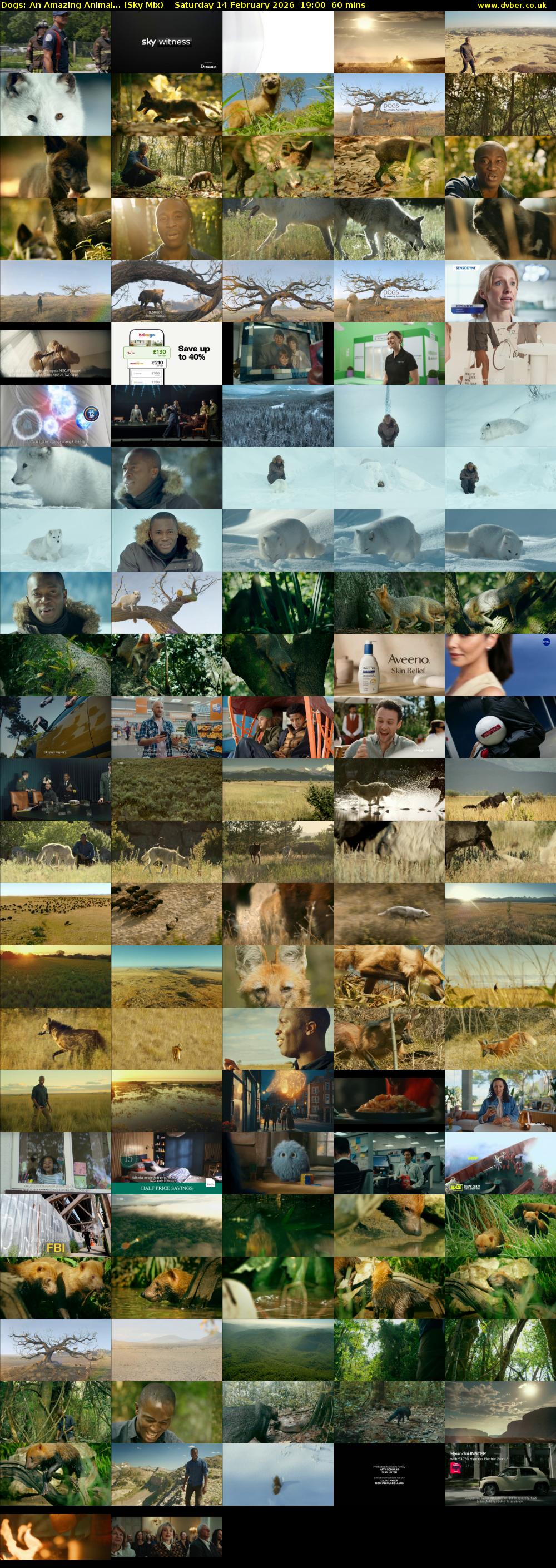 Dogs: An Amazing Animal... (Sky Mix) Saturday 14 February 2026 19:00 - 20:00