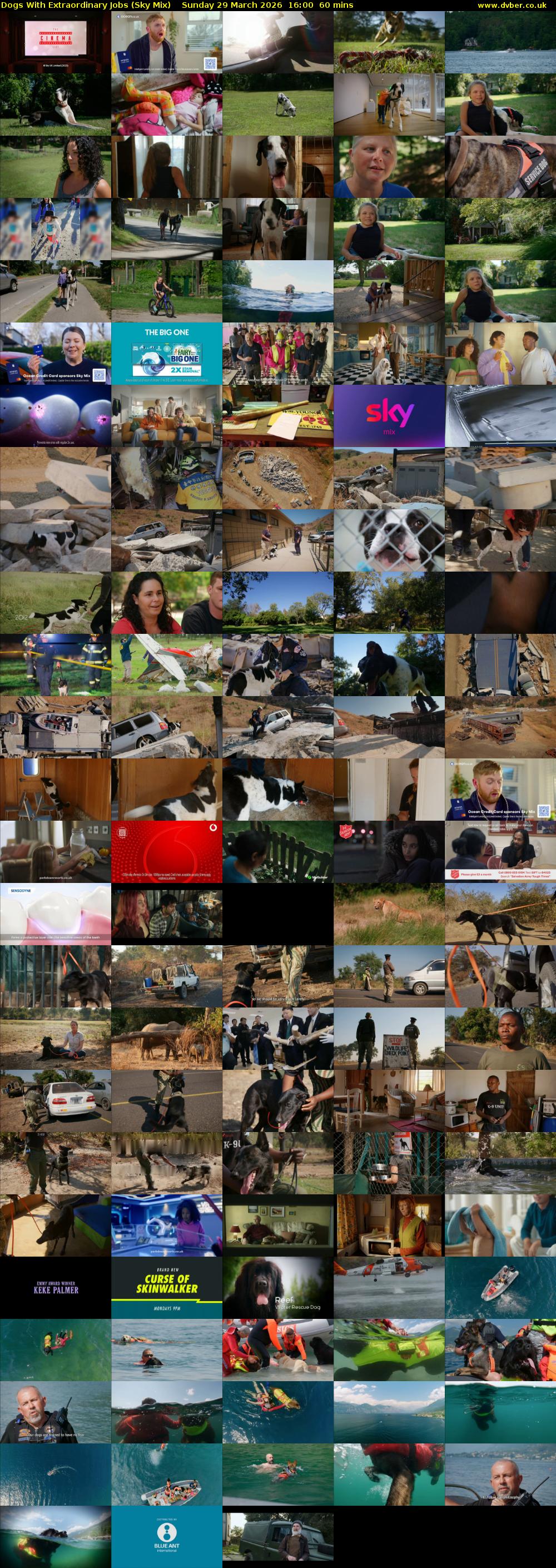 Dogs With Extraordinary Jobs (Sky Mix) Sunday 29 March 2026 16:00 - 17:00