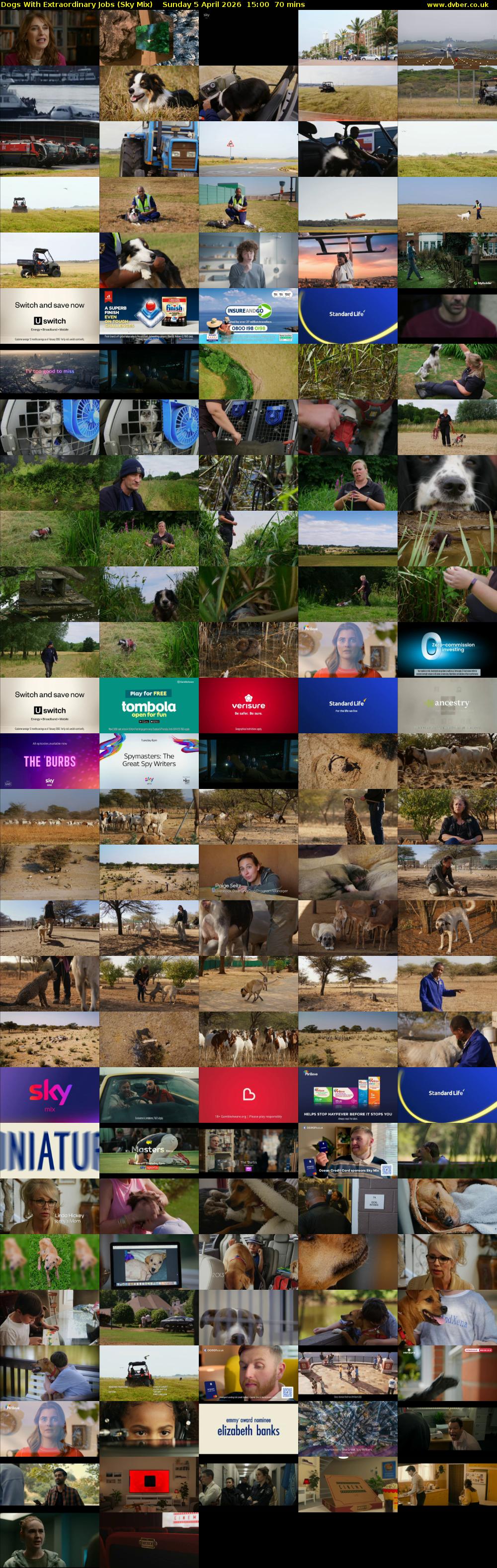 Dogs With Extraordinary Jobs (Sky Mix) Sunday 5 April 2026 15:00 - 16:10