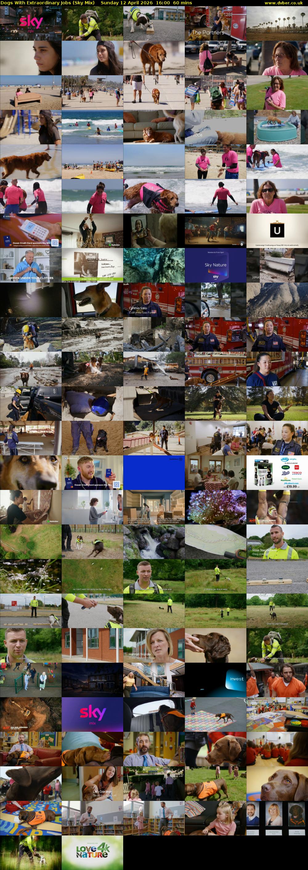 Dogs With Extraordinary Jobs (Sky Mix) Sunday 12 April 2026 16:00 - 17:00