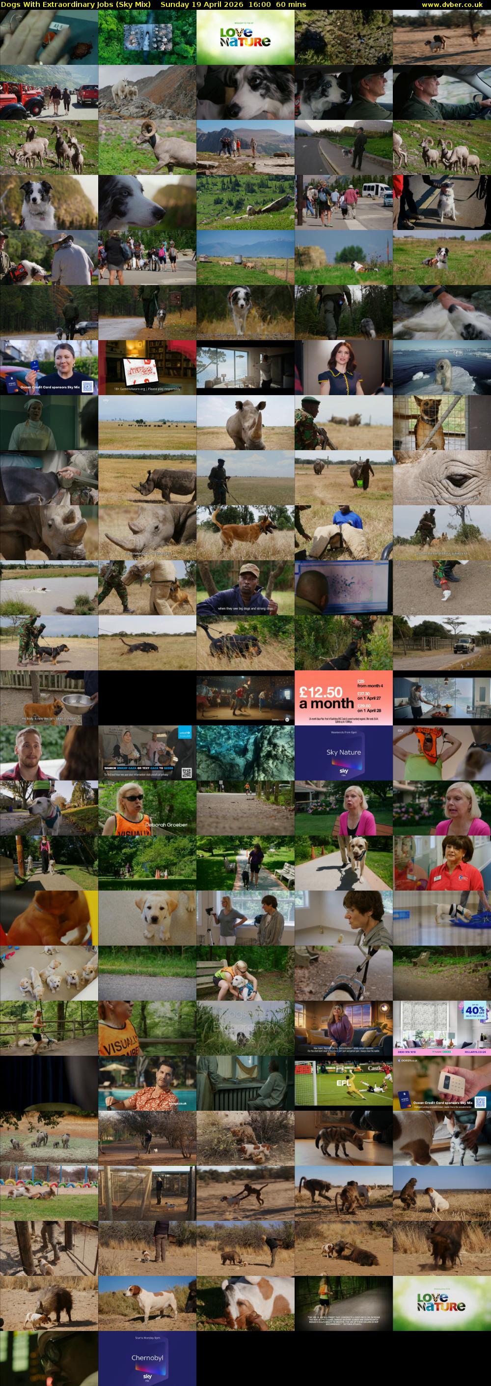 Dogs With Extraordinary Jobs (Sky Mix) Sunday 19 April 2026 16:00 - 17:00