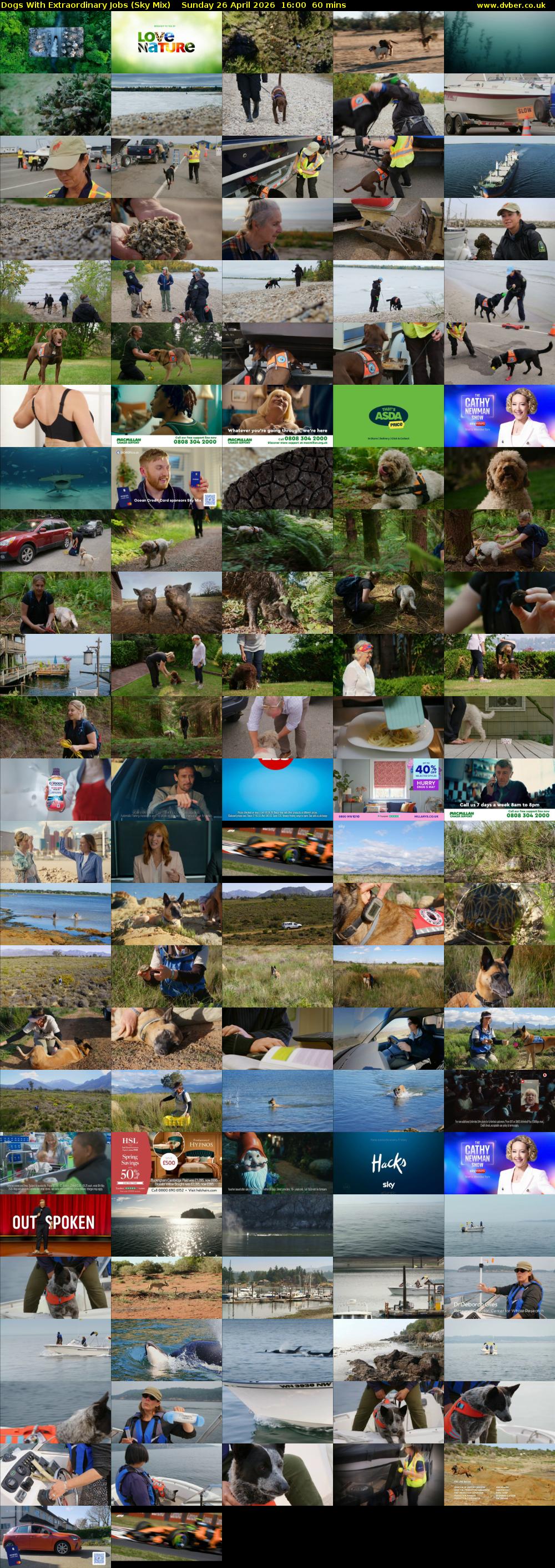 Dogs With Extraordinary Jobs (Sky Mix) Sunday 26 April 2026 16:00 - 17:00