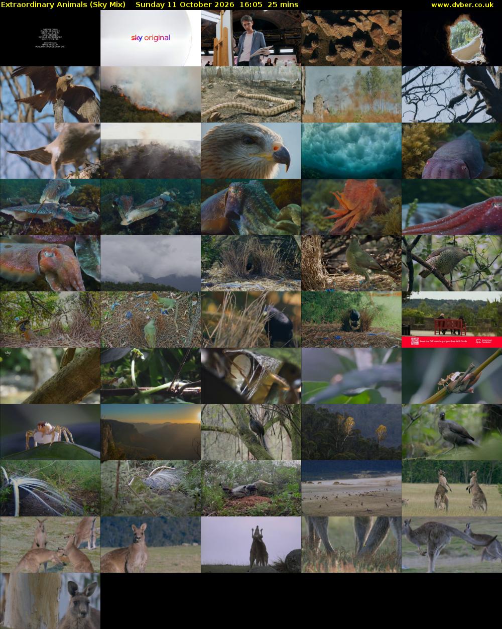 Extraordinary Animals (Sky Mix) Sunday 11 October 2026 16:05 - 16:30