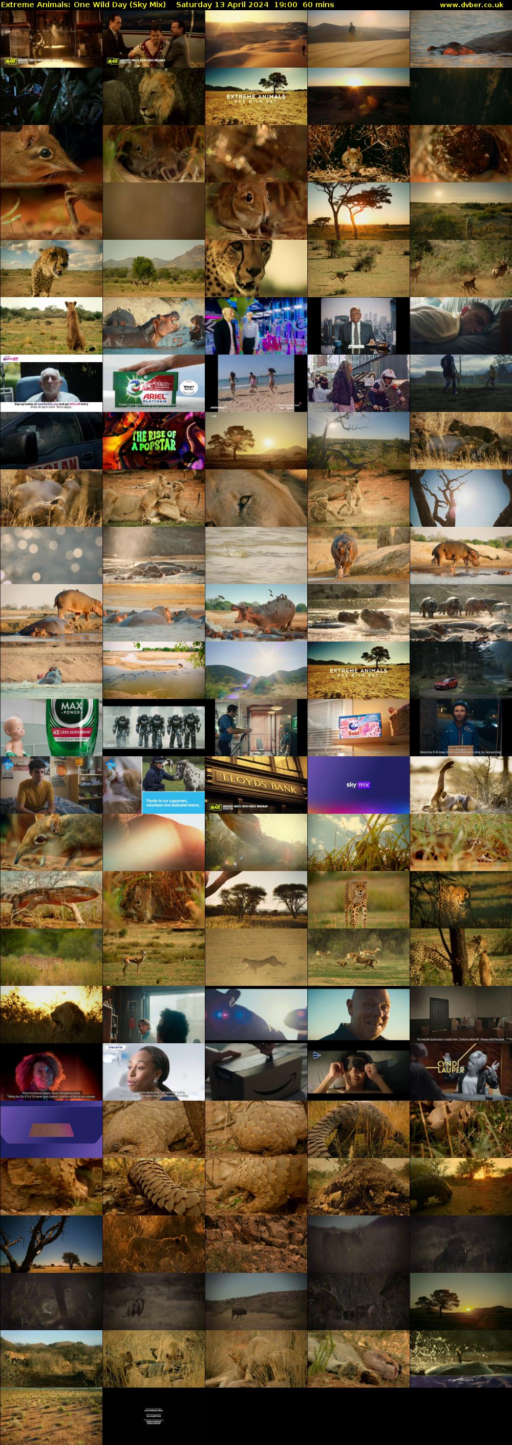 Extreme Animals: One Wild Day (Sky Mix) Saturday 13 April 2024 19:00 - 20:00