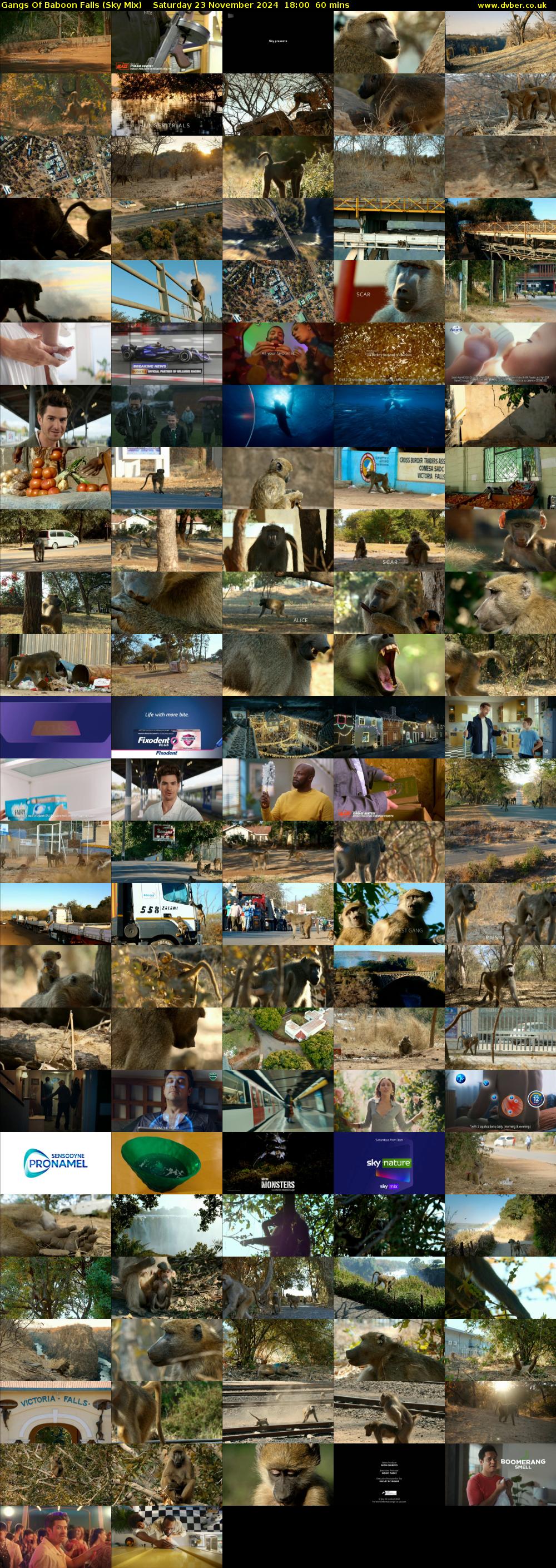 Gangs Of Baboon Falls (Sky Mix) Saturday 23 November 2024 18:00 - 19:00