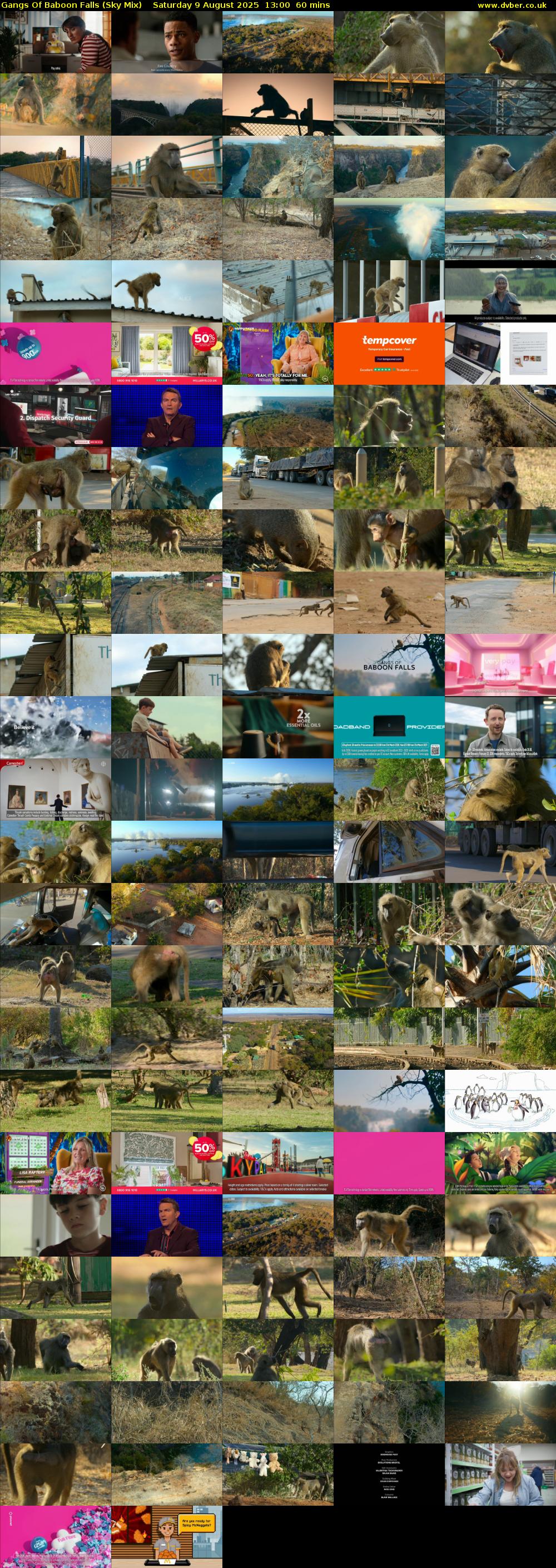 Gangs Of Baboon Falls (Sky Mix) Saturday 9 August 2025 13:00 - 14:00