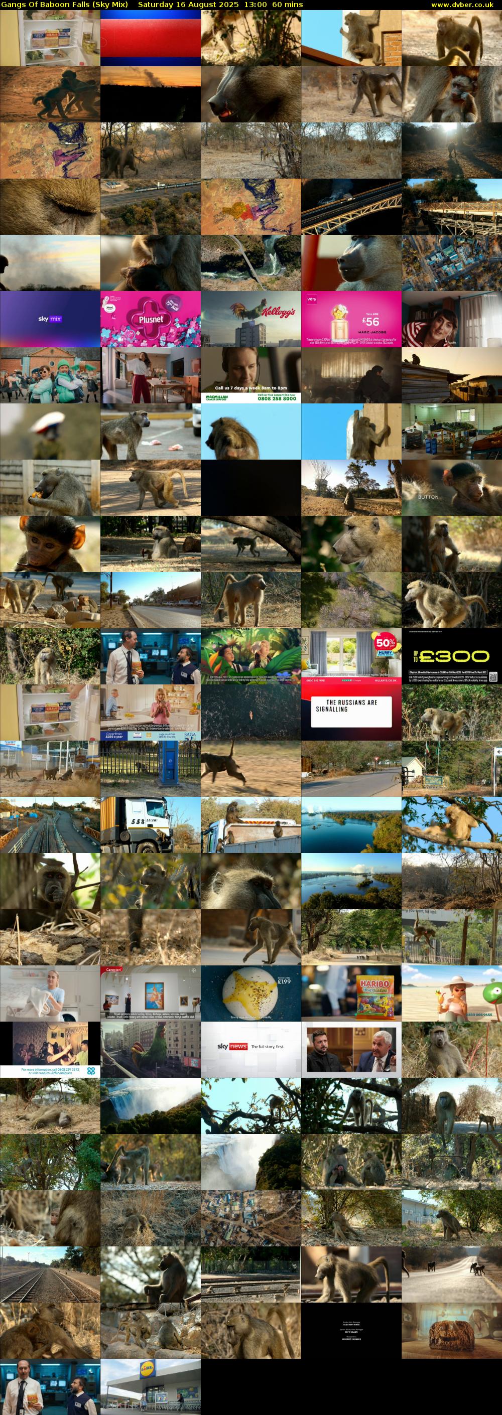 Gangs Of Baboon Falls (Sky Mix) Saturday 16 August 2025 13:00 - 14:00