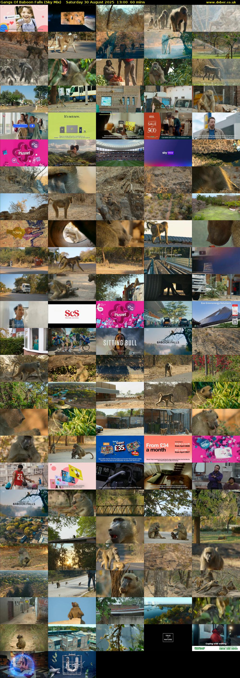Gangs Of Baboon Falls (Sky Mix) Saturday 30 August 2025 13:00 - 14:00
