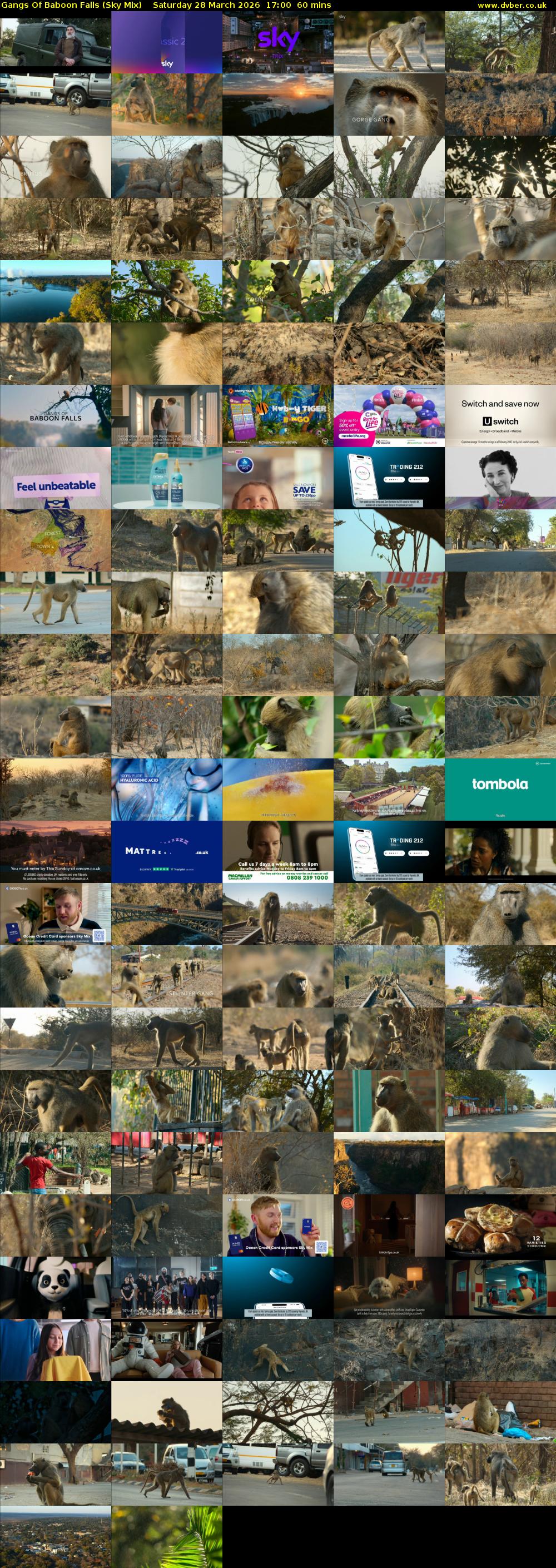 Gangs Of Baboon Falls (Sky Mix) Saturday 28 March 2026 17:00 - 18:00
