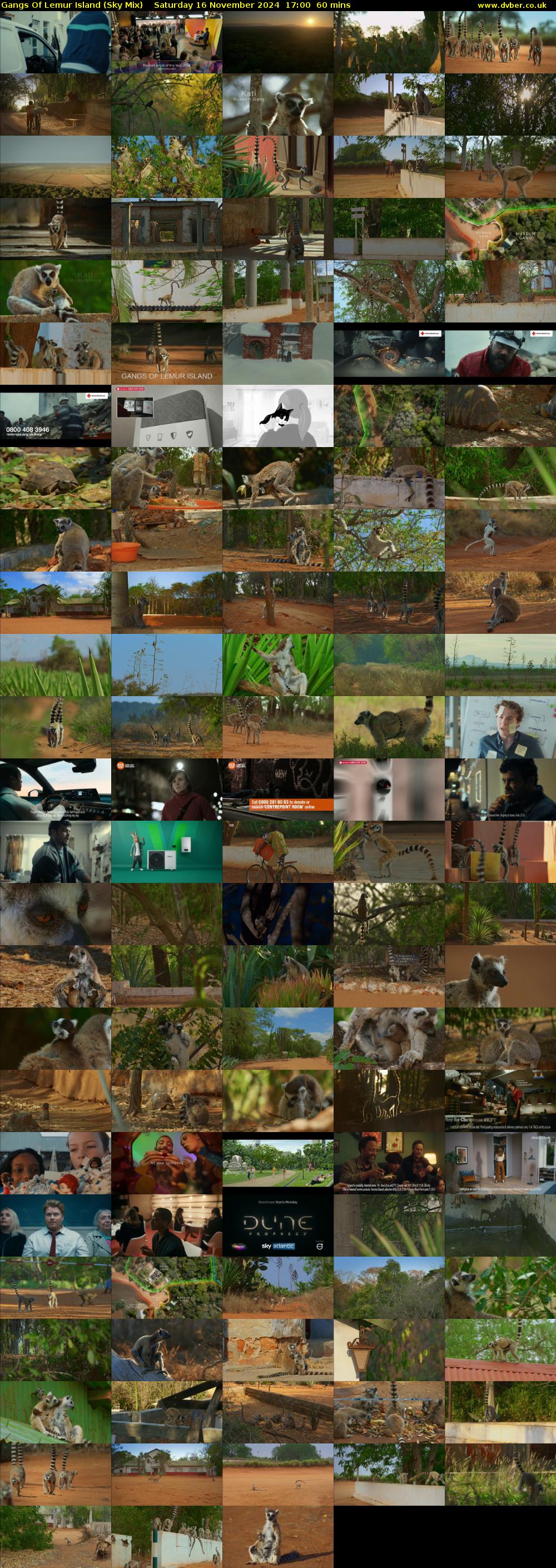 Gangs Of Lemur Island (Sky Mix) Saturday 16 November 2024 17:00 - 18:00