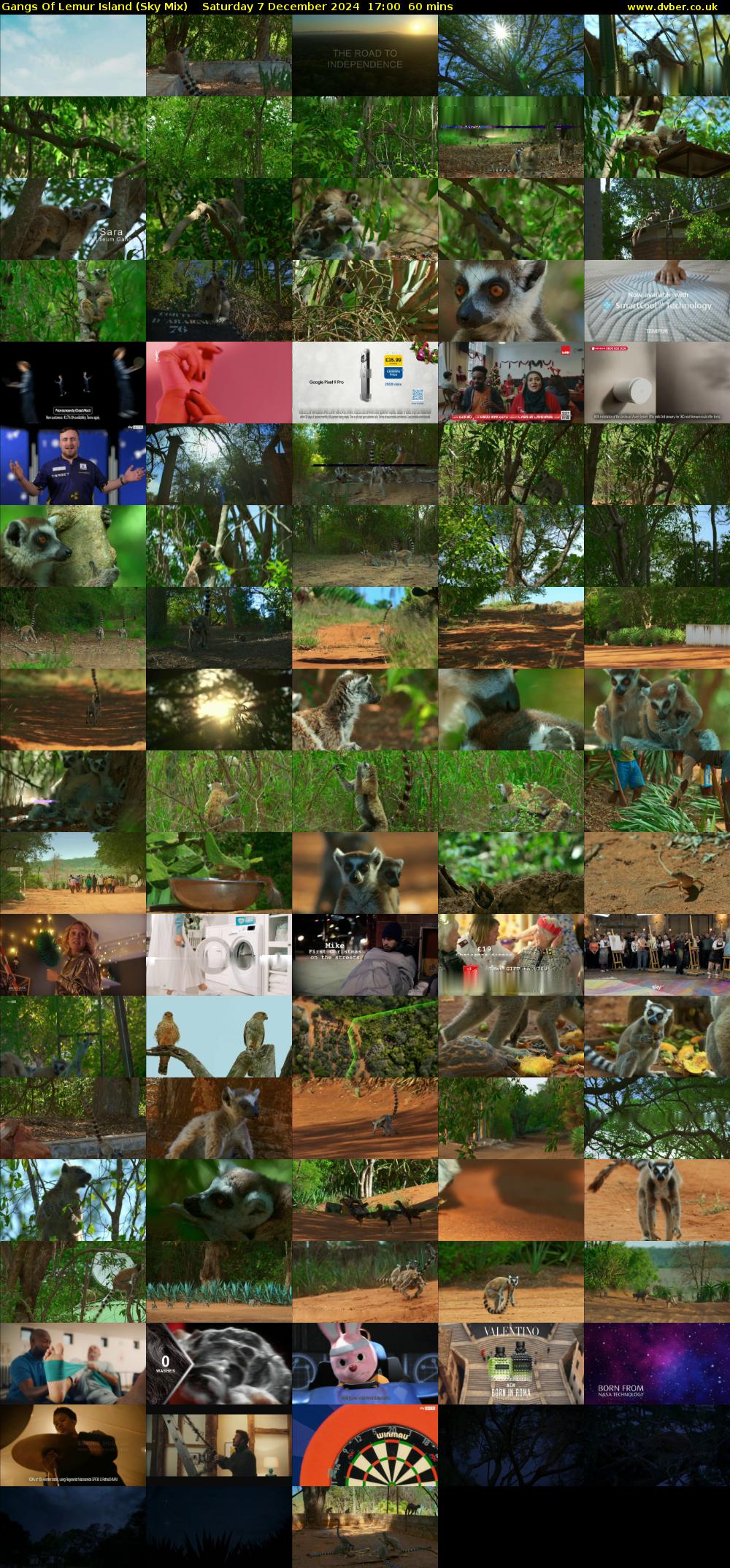 Gangs Of Lemur Island (Sky Mix) Saturday 7 December 2024 17:00 - 18:00