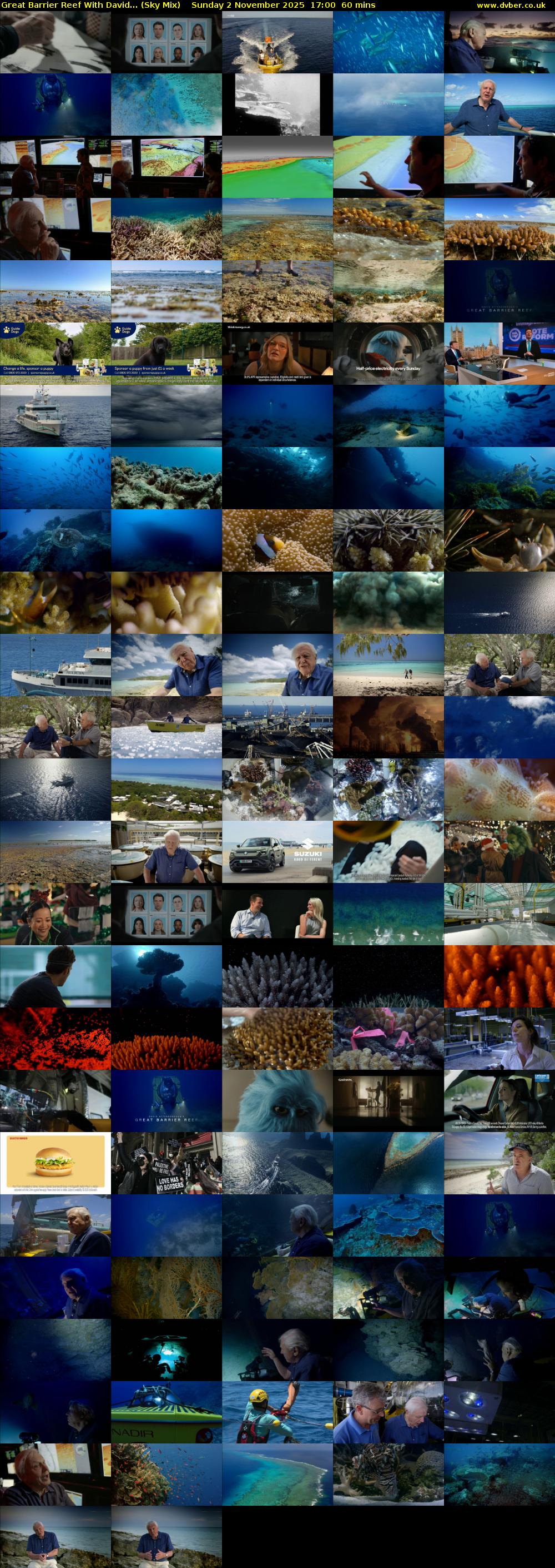 Great Barrier Reef With David... (Sky Mix) Sunday 2 November 2025 17:00 - 18:00