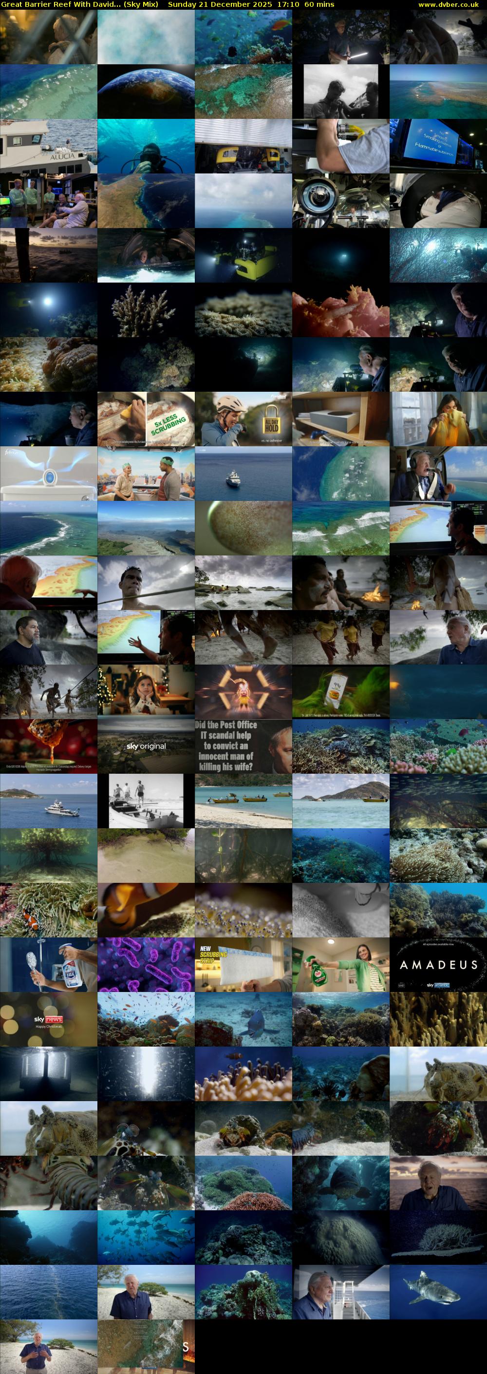 Great Barrier Reef With David... (Sky Mix) Sunday 21 December 2025 17:10 - 18:10