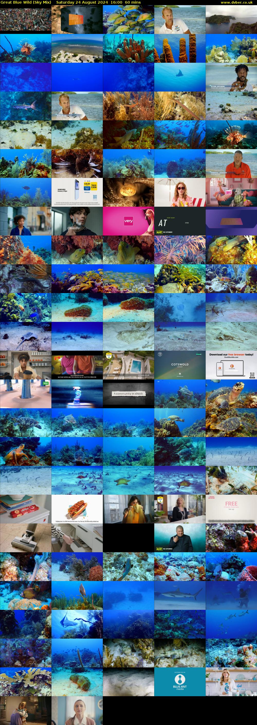 Great Blue Wild (Sky Mix) Saturday 24 August 2024 16:00 - 17:00