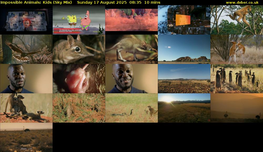 Impossible Animals: Kids (Sky Mix) Sunday 17 August 2025 08:35 - 08:45
