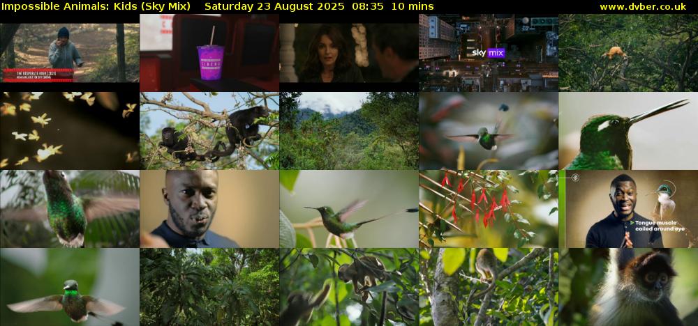 Impossible Animals: Kids (Sky Mix) Saturday 23 August 2025 08:35 - 08:45