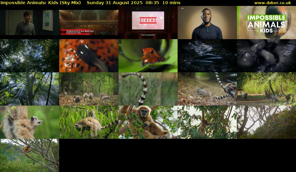 Impossible Animals: Kids (Sky Mix) Sunday 31 August 2025 08:35 - 08:45