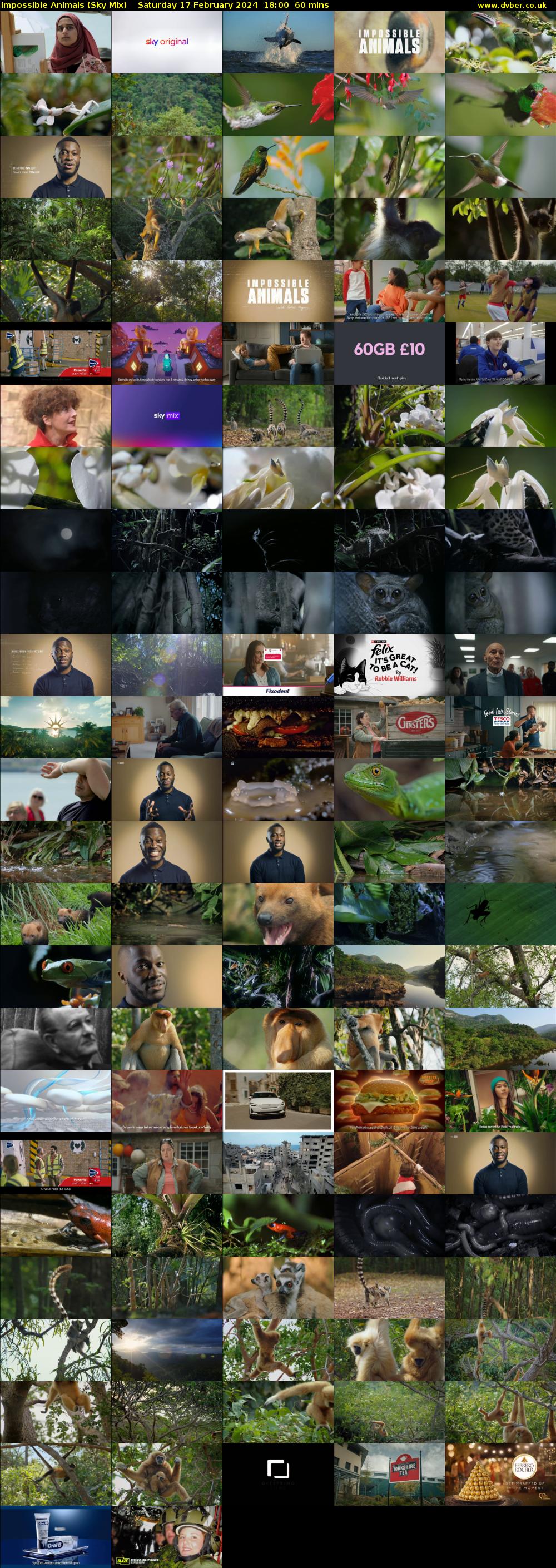 Impossible Animals (Sky Mix) Saturday 17 February 2024 18:00 - 19:00