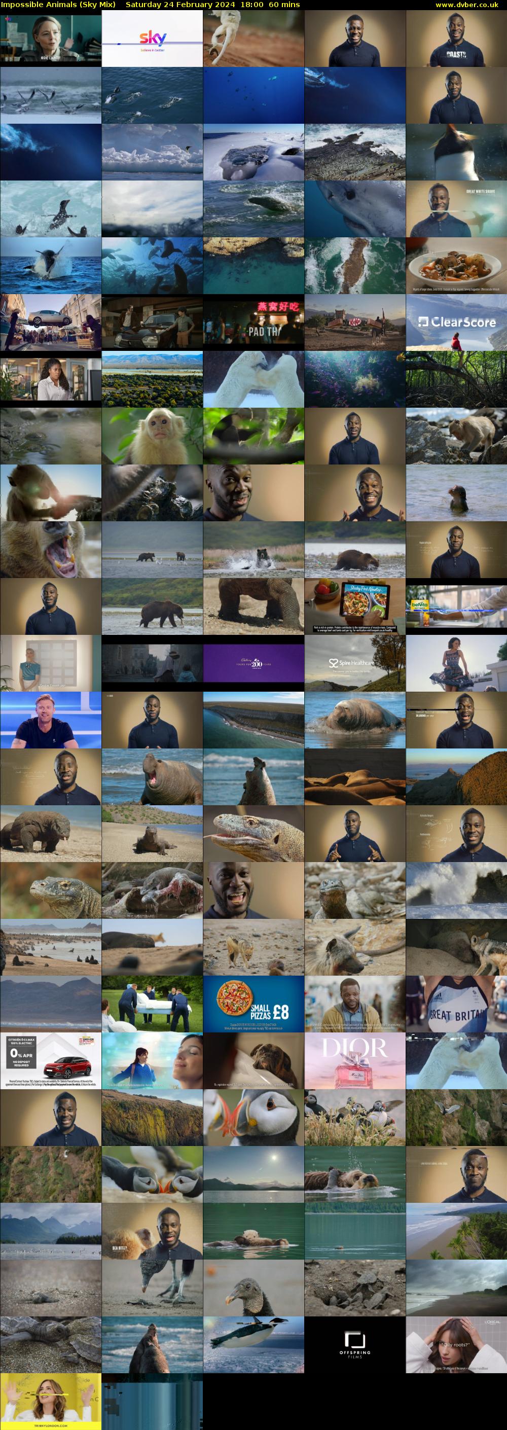 Impossible Animals (Sky Mix) Saturday 24 February 2024 18:00 - 19:00