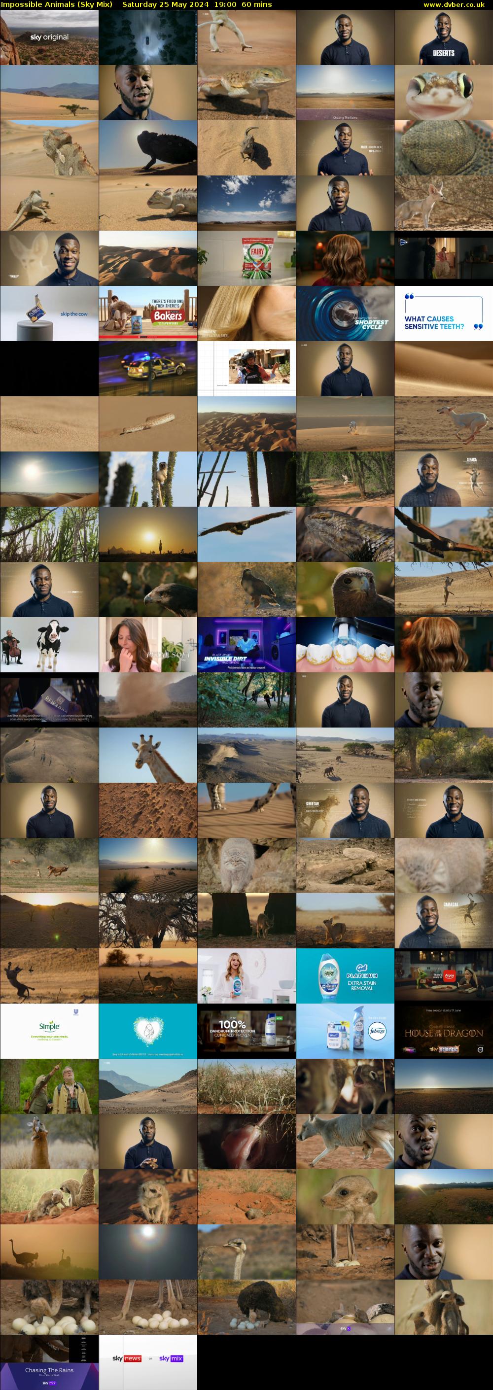 Impossible Animals (Sky Mix) Saturday 25 May 2024 19:00 - 20:00