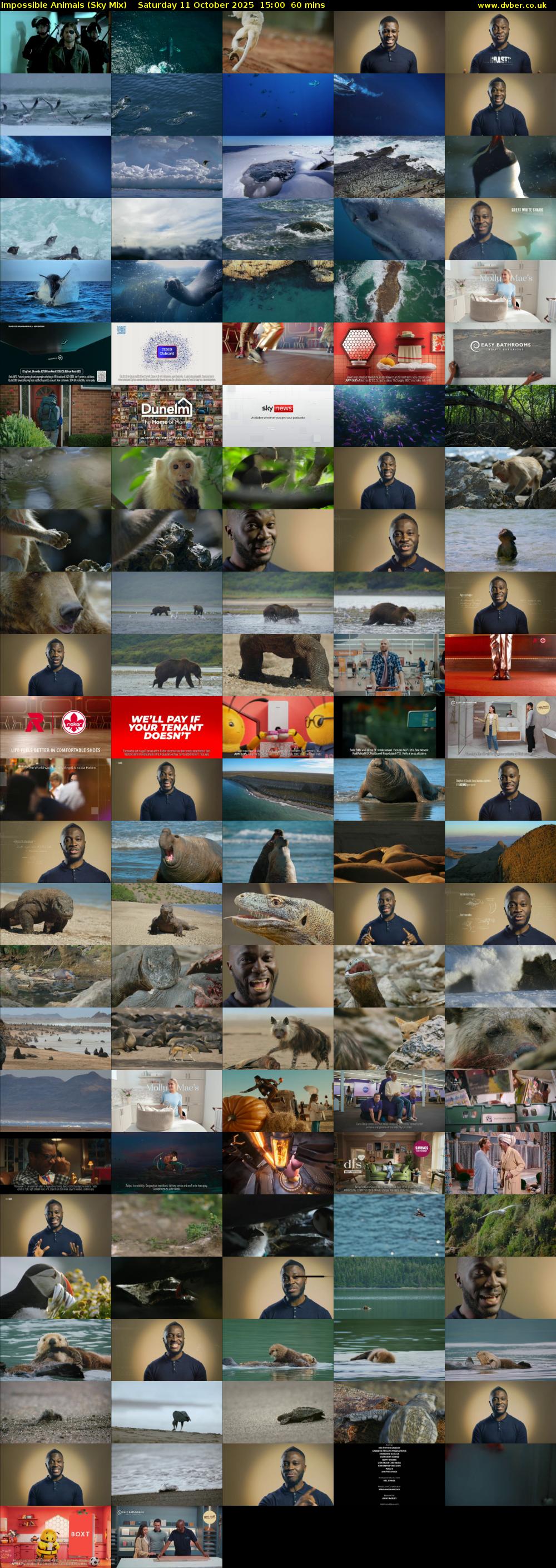 Impossible Animals (Sky Mix) Saturday 11 October 2025 15:00 - 16:00
