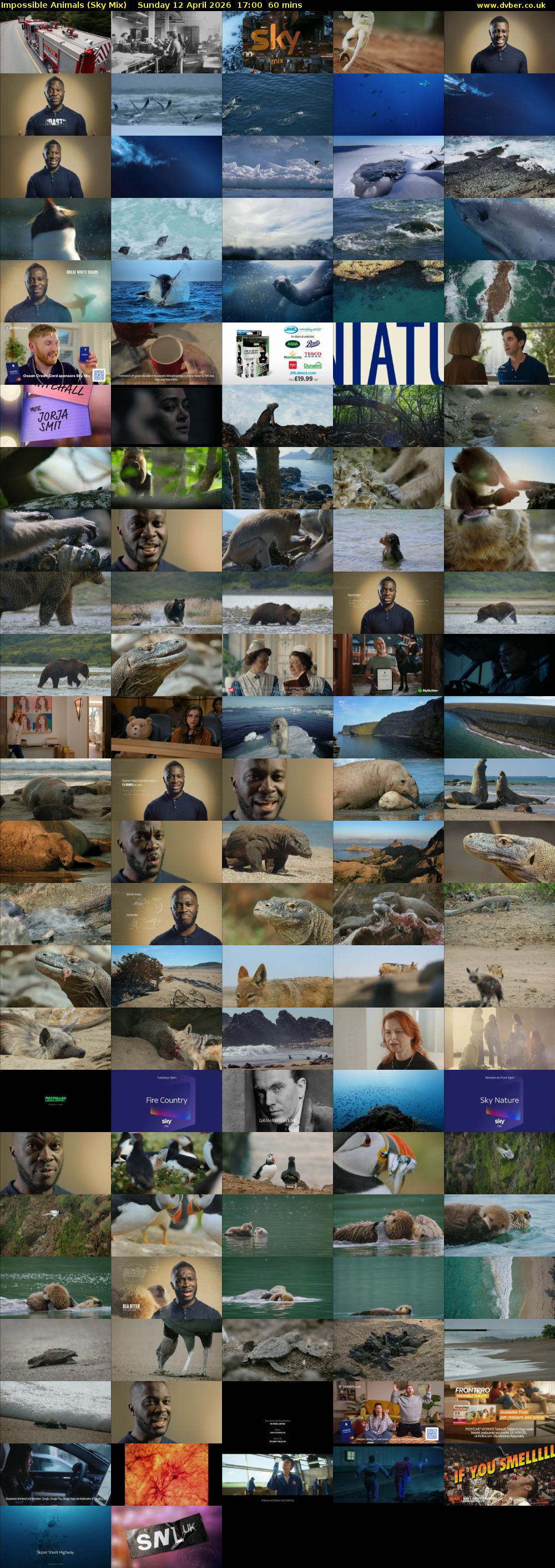 Impossible Animals (Sky Mix) Sunday 12 April 2026 17:00 - 18:00