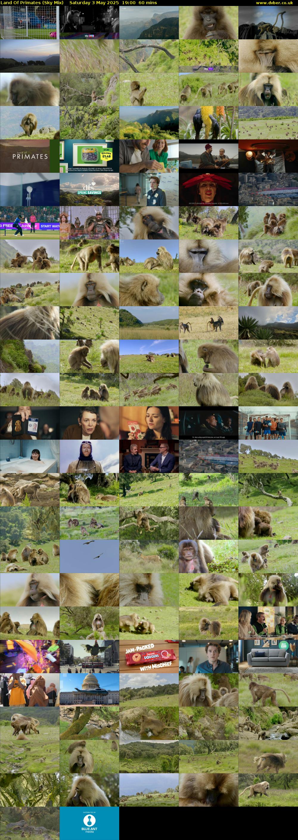 Land Of Primates (Sky Mix) Saturday 3 May 2025 19:00 - 20:00