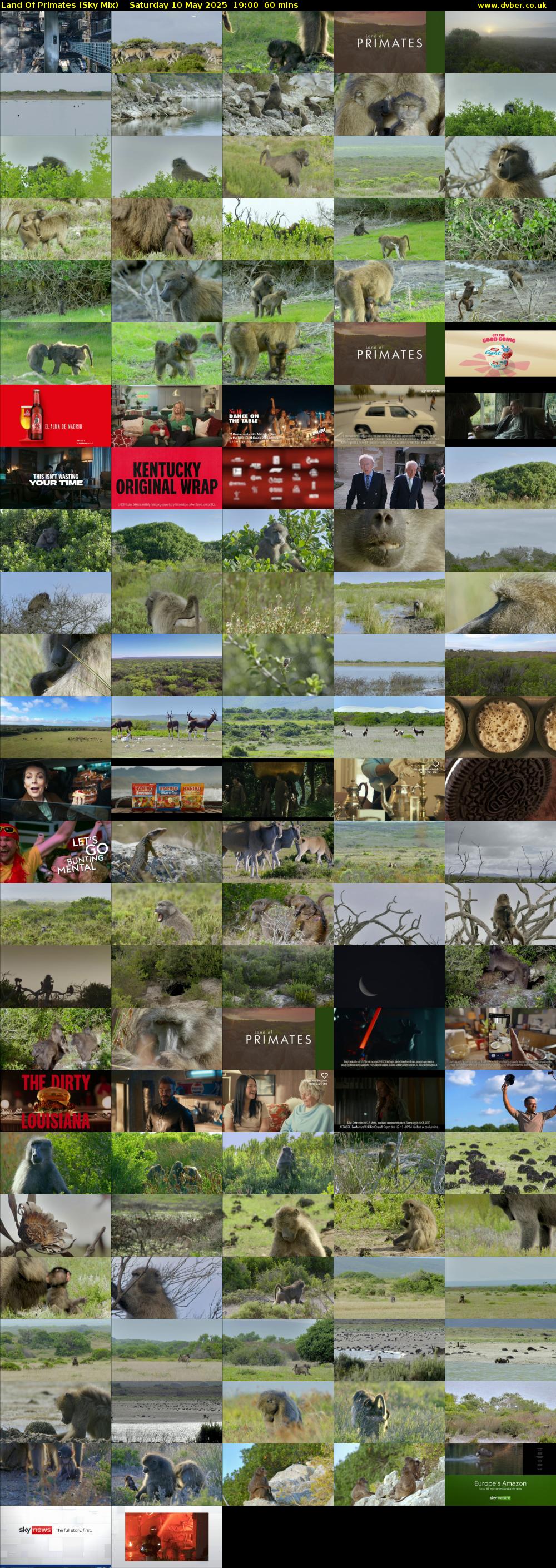Land Of Primates (Sky Mix) Saturday 10 May 2025 19:00 - 20:00