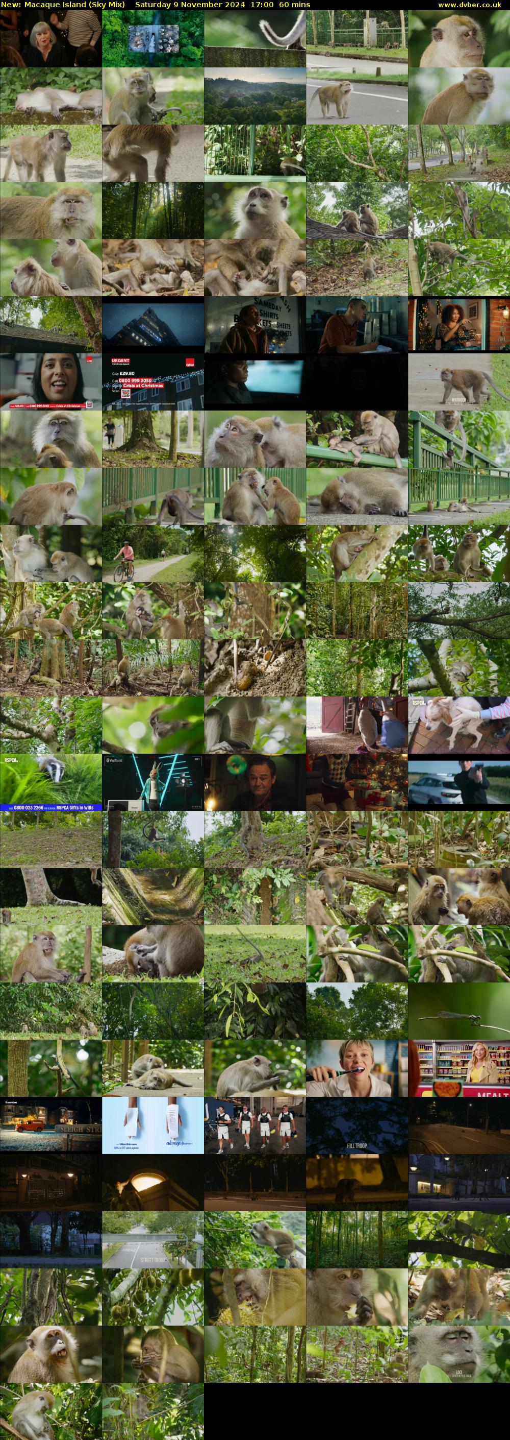 Macaque Island (Sky Mix) Saturday 9 November 2024 17:00 - 18:00