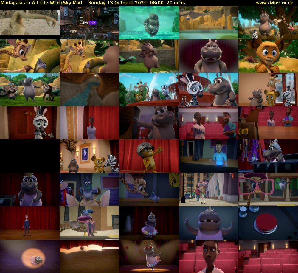 Madagascar: A Little Wild (Sky Mix) Sunday 13 October 2024 08:00 - 08:20