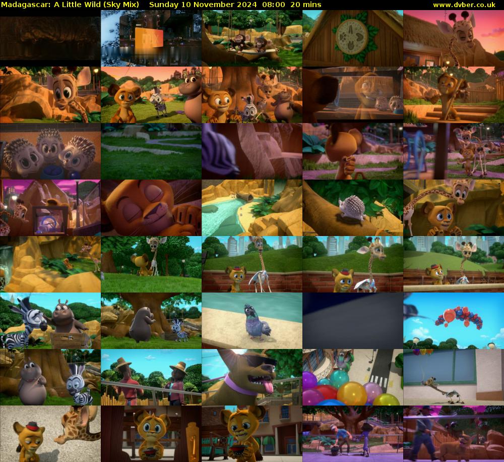 Madagascar: A Little Wild (Sky Mix) Sunday 10 November 2024 08:00 - 08:20