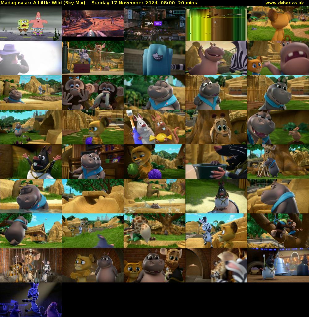 Madagascar: A Little Wild (Sky Mix) Sunday 17 November 2024 08:00 - 08:20