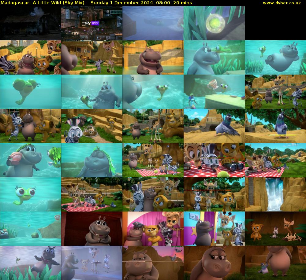 Madagascar: A Little Wild (Sky Mix) Sunday 1 December 2024 08:00 - 08:20