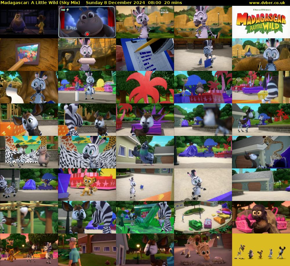 Madagascar: A Little Wild (Sky Mix) Sunday 8 December 2024 08:00 - 08:20