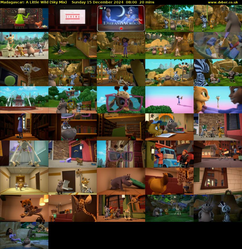 Madagascar: A Little Wild (Sky Mix) Sunday 15 December 2024 08:00 - 08:20