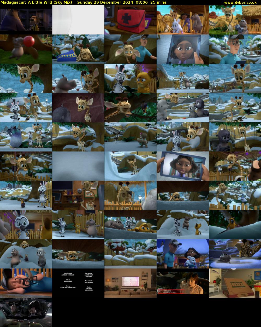 Madagascar: A Little Wild (Sky Mix) Sunday 29 December 2024 08:00 - 08:25