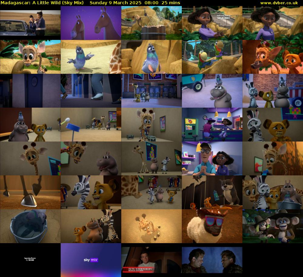 Madagascar: A Little Wild (Sky Mix) Sunday 9 March 2025 08:00 - 08:25