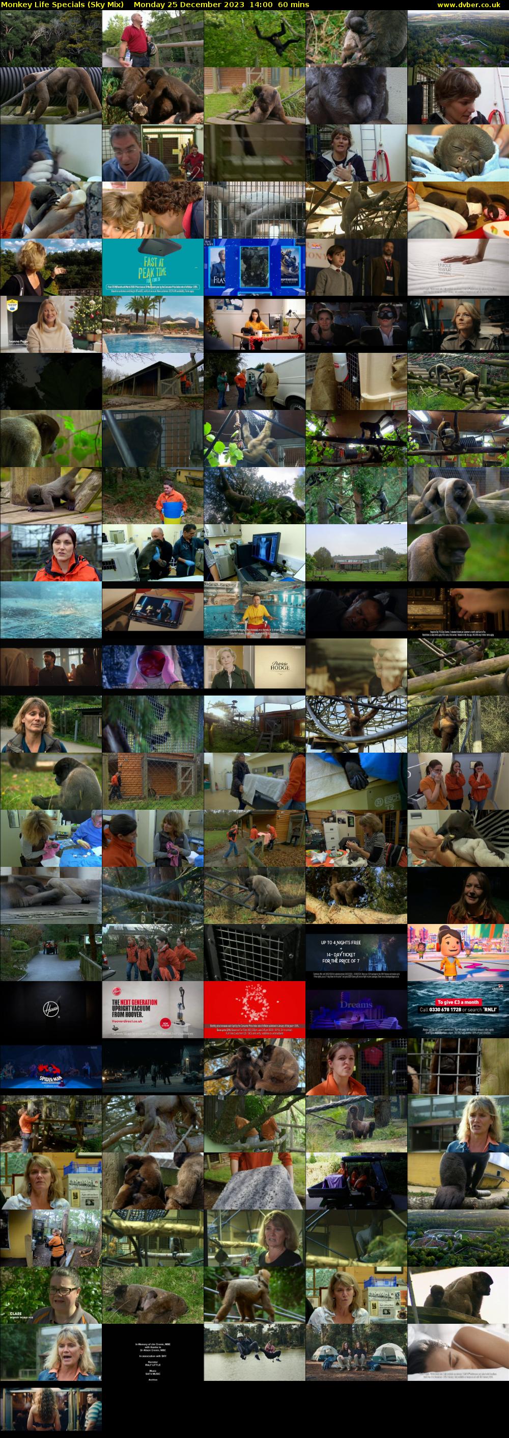 Monkey Life Specials (Sky Mix) Monday 25 December 2023 14:00 - 15:00
