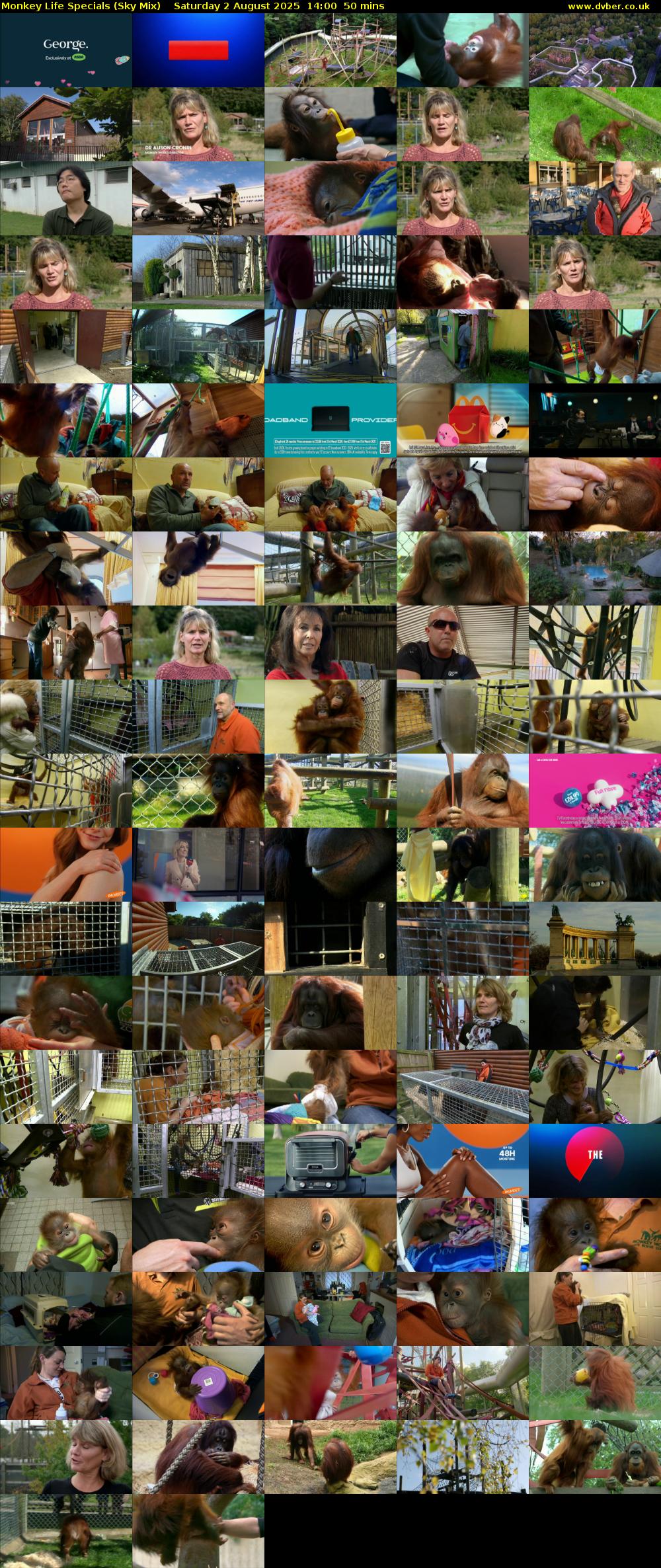 Monkey Life Specials (Sky Mix) Saturday 2 August 2025 14:00 - 14:50