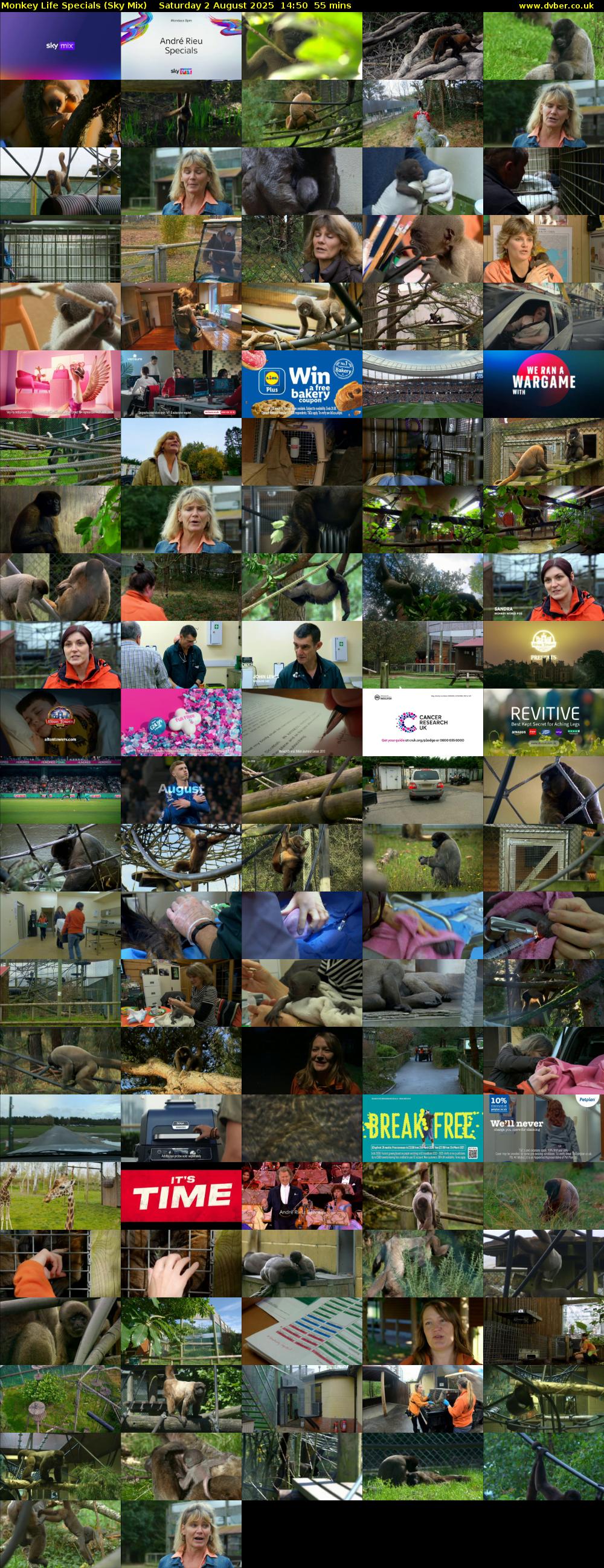 Monkey Life Specials (Sky Mix) Saturday 2 August 2025 14:50 - 15:45