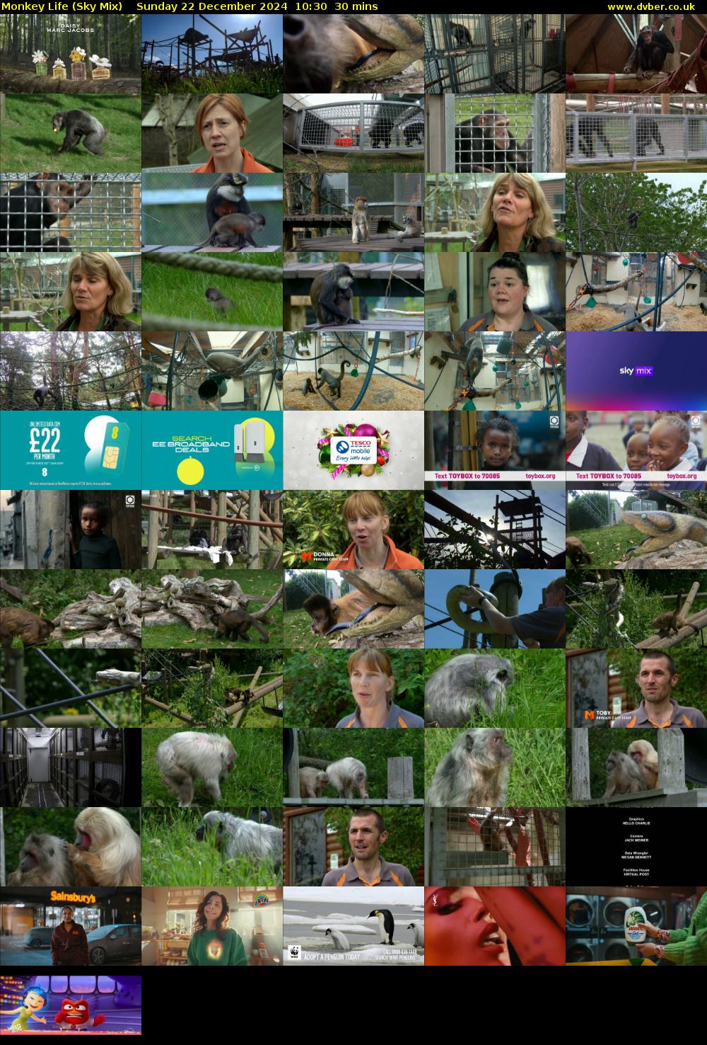 Monkey Life (Sky Mix) Sunday 22 December 2024 10:30 - 11:00