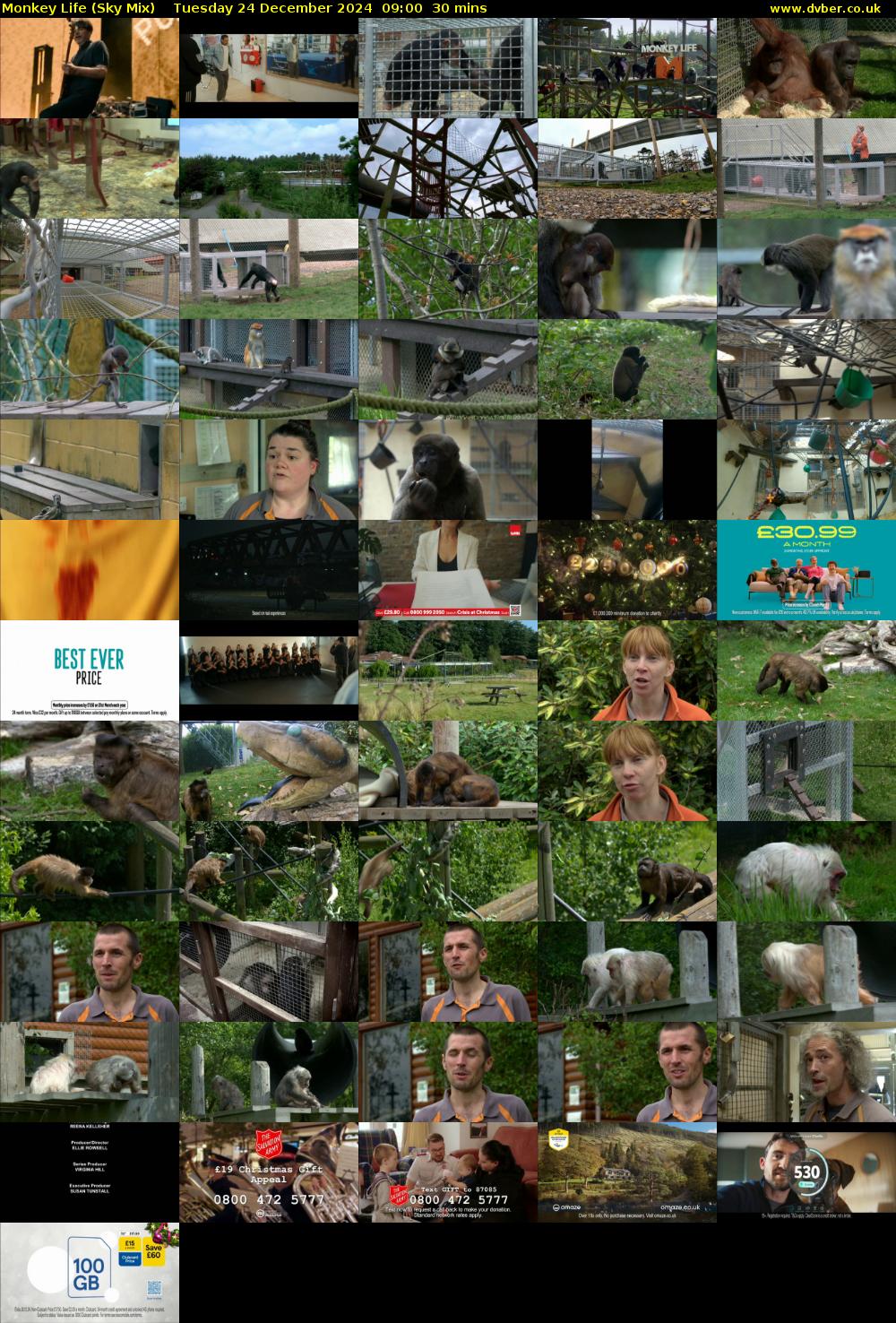 Monkey Life (Sky Mix) Tuesday 24 December 2024 09:00 - 09:30