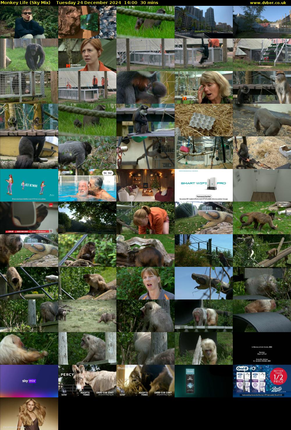 Monkey Life (Sky Mix) Tuesday 24 December 2024 14:00 - 14:30