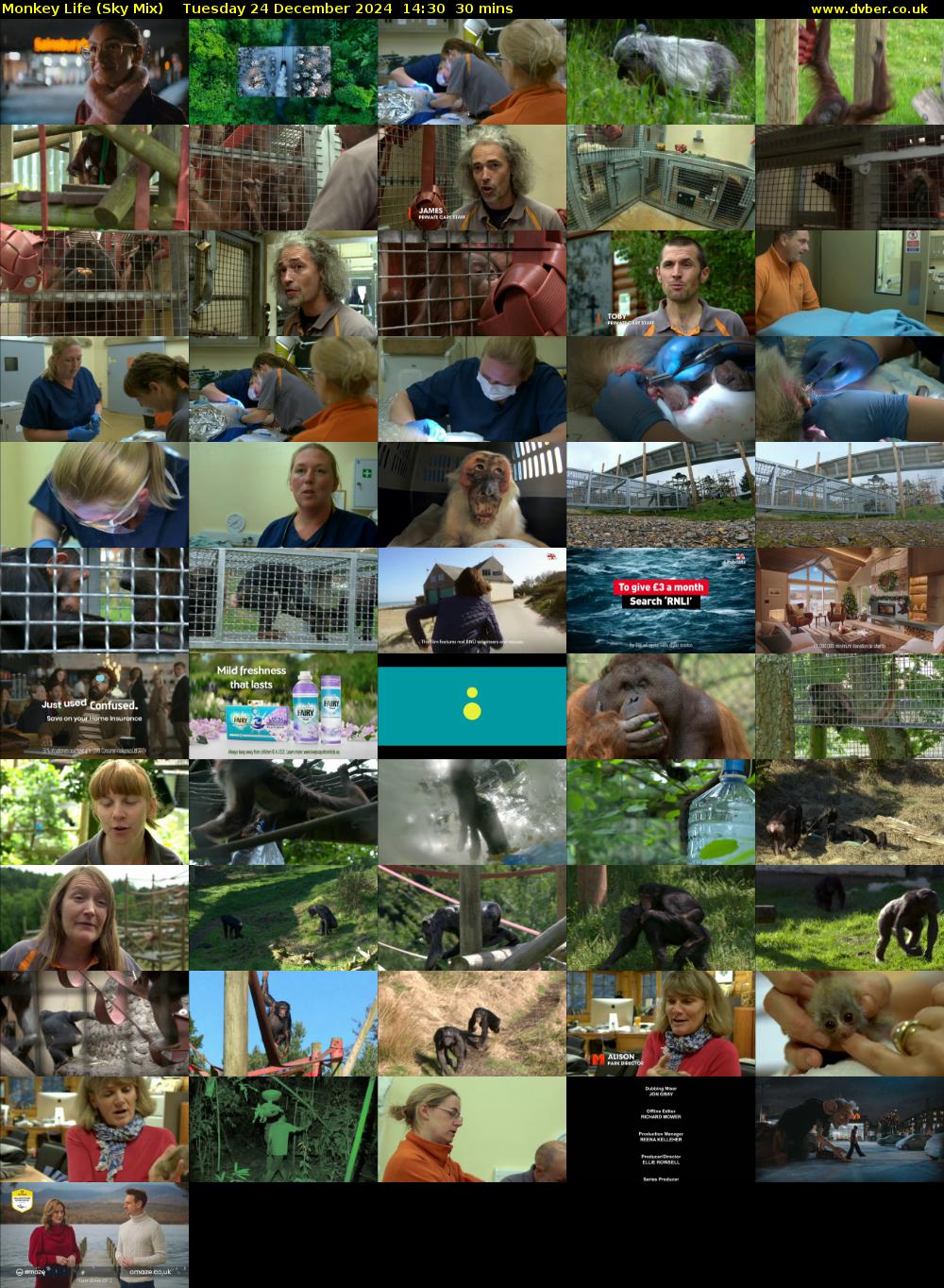 Monkey Life (Sky Mix) Tuesday 24 December 2024 14:30 - 15:00
