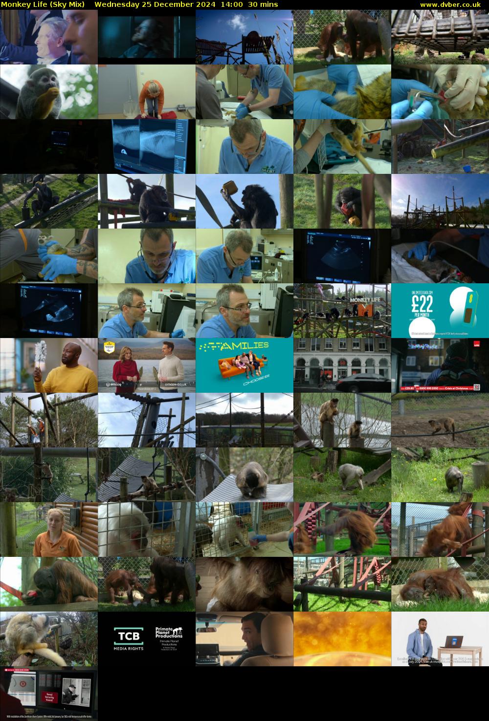 Monkey Life (Sky Mix) Wednesday 25 December 2024 14:00 - 14:30