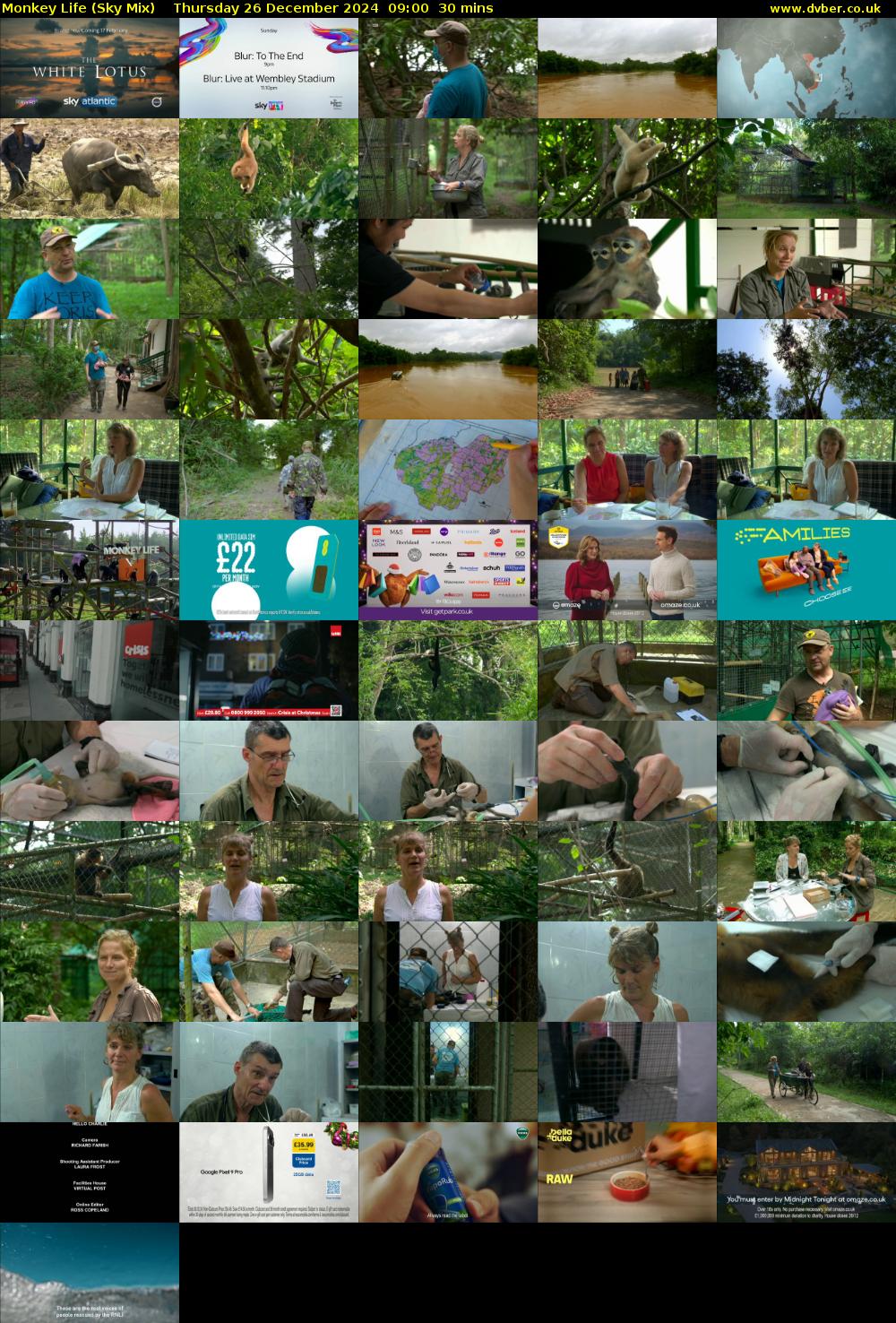 Monkey Life (Sky Mix) Thursday 26 December 2024 09:00 - 09:30