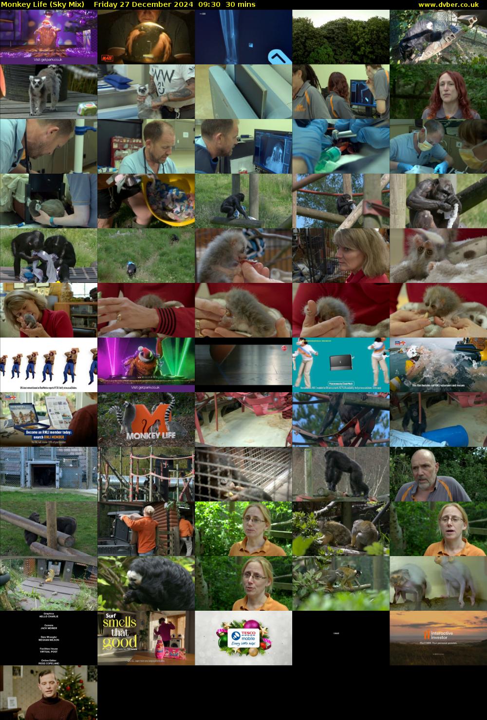 Monkey Life (Sky Mix) Friday 27 December 2024 09:30 - 10:00