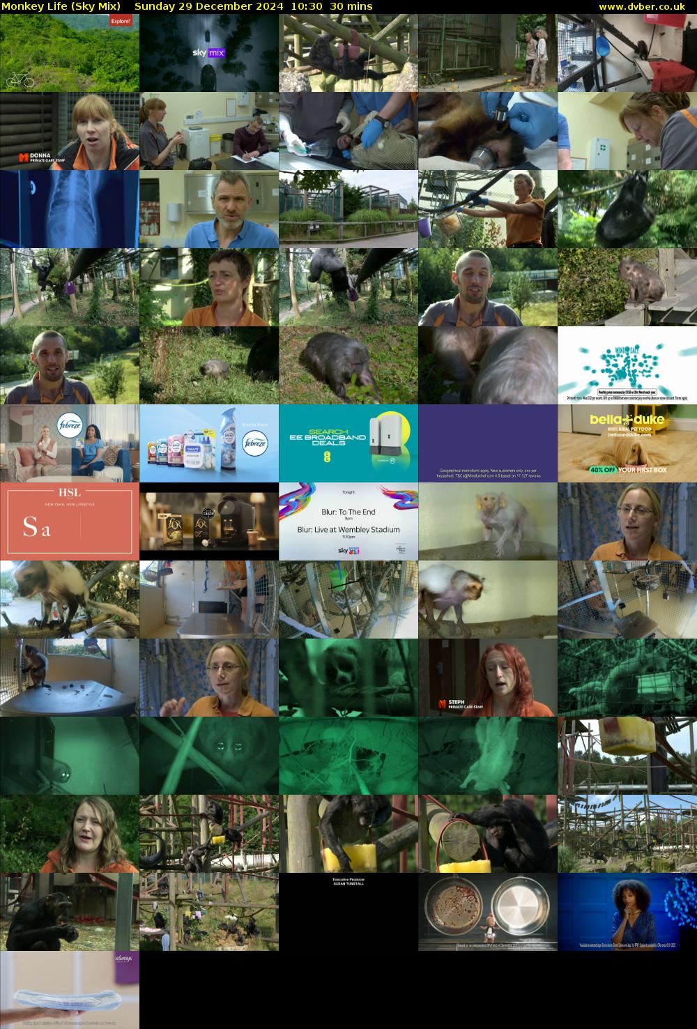 Monkey Life (Sky Mix) Sunday 29 December 2024 10:30 - 11:00