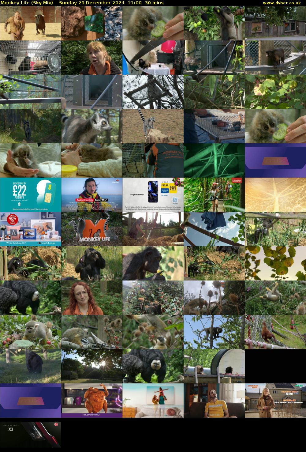 Monkey Life (Sky Mix) Sunday 29 December 2024 11:00 - 11:30